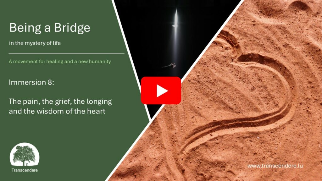 Being a Bridge in the mystery of life | Immersion 8