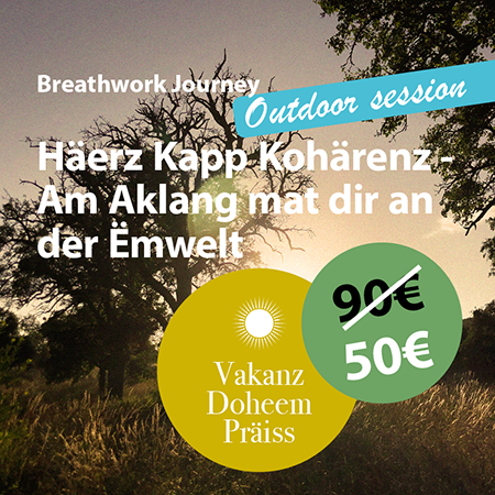 Transformational Breathwork Journey