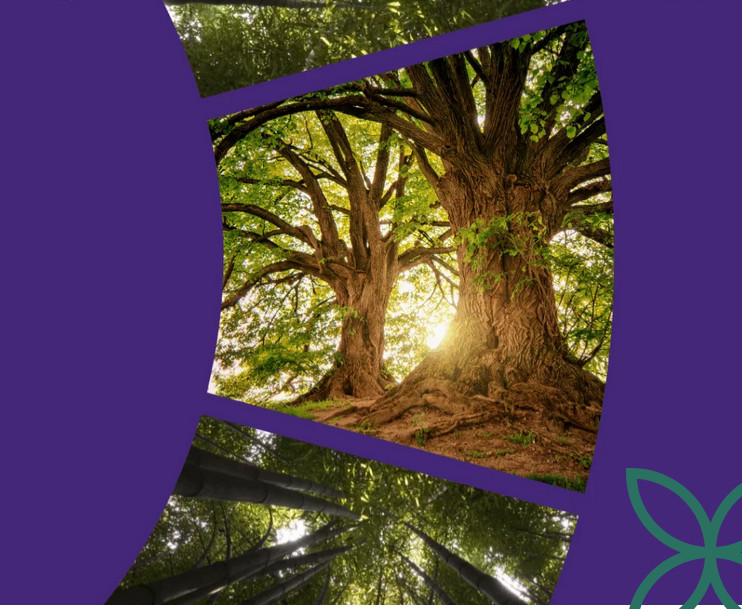 Assemblée citoyenne poélitique - L’arbre qui cache la forêt (déi Wëll, déi lafen am Bësch)