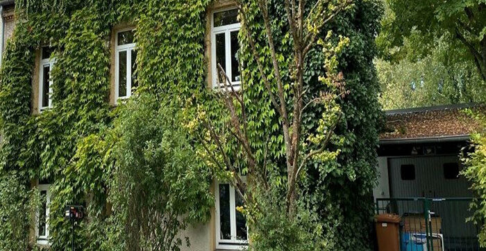 „Mir begréngen eis Fassaden“ – Wie begrüne ich meine Fassade? Praxis-Workshop
