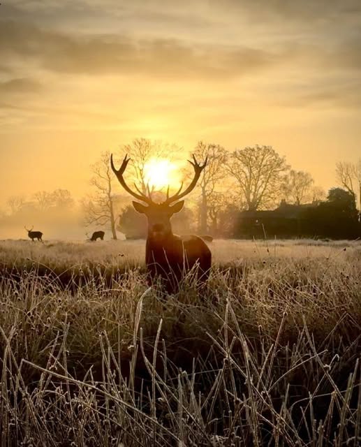 Atelier Qi-Gong:du poids du passé à la force du présent