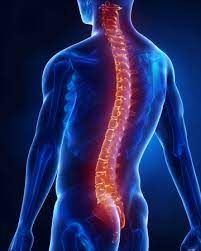 Atelier Qi-Gong : La Colonne vertébrale : Axe de vie, pilier de l’être