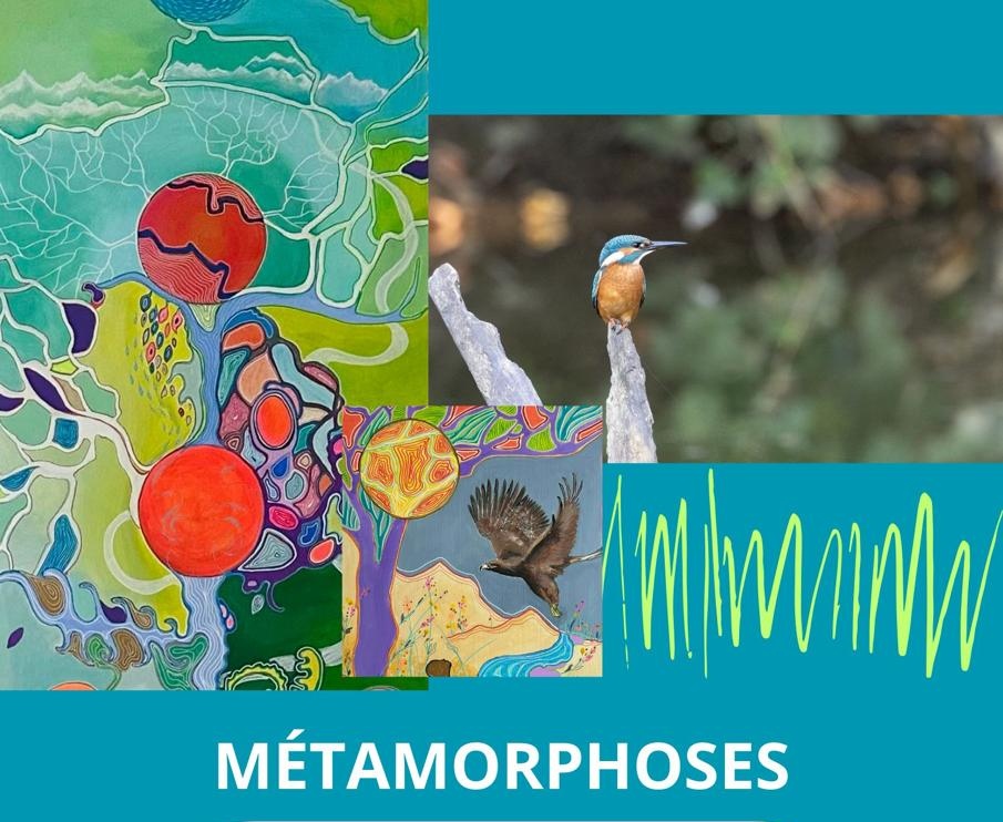 Métamorphose constellations chamaniques avec Sandrine Orisio