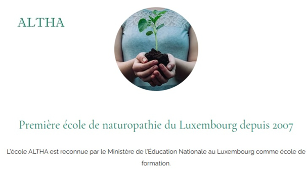 Cours \\\"Énergétique Chinoise Niveau 1 \\\"