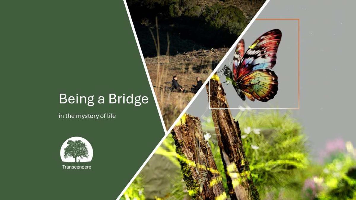 Being a Bridge in the mystery of life | Immersion 13 - Künstliche Intelligenz - Menschliche Intelligenz - Kosmische Intelligenz